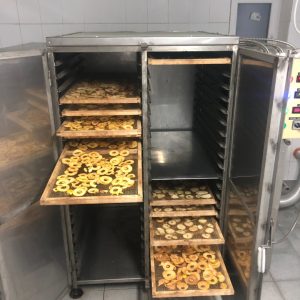 Uscător / deshidratator model Hestya DRY 15